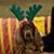 Barb Donley Butler's profile image