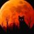 Diane Gambone's profile image