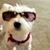 Tracy Lynn Ogden-Stroud's profile image