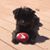Joann Elizabeth's profile image
