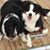 Teri Spiegel Trefz's profile image