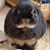 Chris J Babbit's profile image