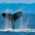 Sue Goodrich's profile image