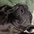 Lynn Mobley Abajian's profile image