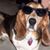 Craig Brunson's profile image