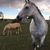 Erin Leigh Aten's profile image