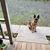 Kelly Ohler's profile image