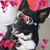 Tina Stanfield's profile image