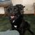 Mary Camacho's profile image