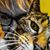 Melinda Pettit Wheatley's profile image