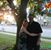 Deann Sturgill's profile image