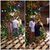 Maria Fernanda Lopez Meza's profile image