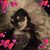 Cindy Bosvelt's profile image