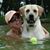 Dawn Graham's profile image