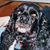 Shawn Scarberry's profile image