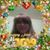 Joanne Licher's profile image