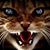 Neta Ann Spalding's profile image
