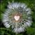Joanne Rodriguez's profile image