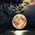 Sue Ehrhart's profile image