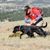 Scott A Robertshaw's profile image