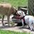 Debbie Orvin's profile image