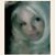 Denise Alvarez's profile image