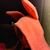 Cathie Price's profile image