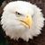 Laurie Price's profile image