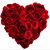 Sham Sham's profile image