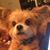 Barbara Lieberman Weisman's profile image