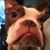 Bob Prisco's profile image