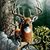 James Crabb's profile image