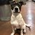 Mary Ann Lovre's profile image