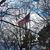 Thirza A Northrup's profile image
