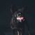 Dixon Sebron's profile image