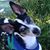 Julie Porter's profile image