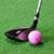Terri Johnston Slone's profile image