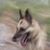 Rosario De Santiago's profile image