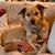 Lisa Robertson Martin's profile image