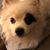 Jerri Lynn Lyons's profile image