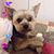 Kim Dean-Wade's profile image