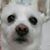 Laura Martin's profile image