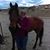 Allyson Ninemire's profile image
