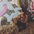 Maggie Jo Faser's profile image