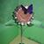 Tracy N Lucinda Ownby's profile image