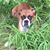 Jada Clark's profile image