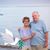 Sandi Seibert's profile image
