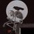 Rebecca Keeley's profile image