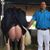 Lourenco Pires's profile image