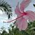 Linda Kizivat's profile image